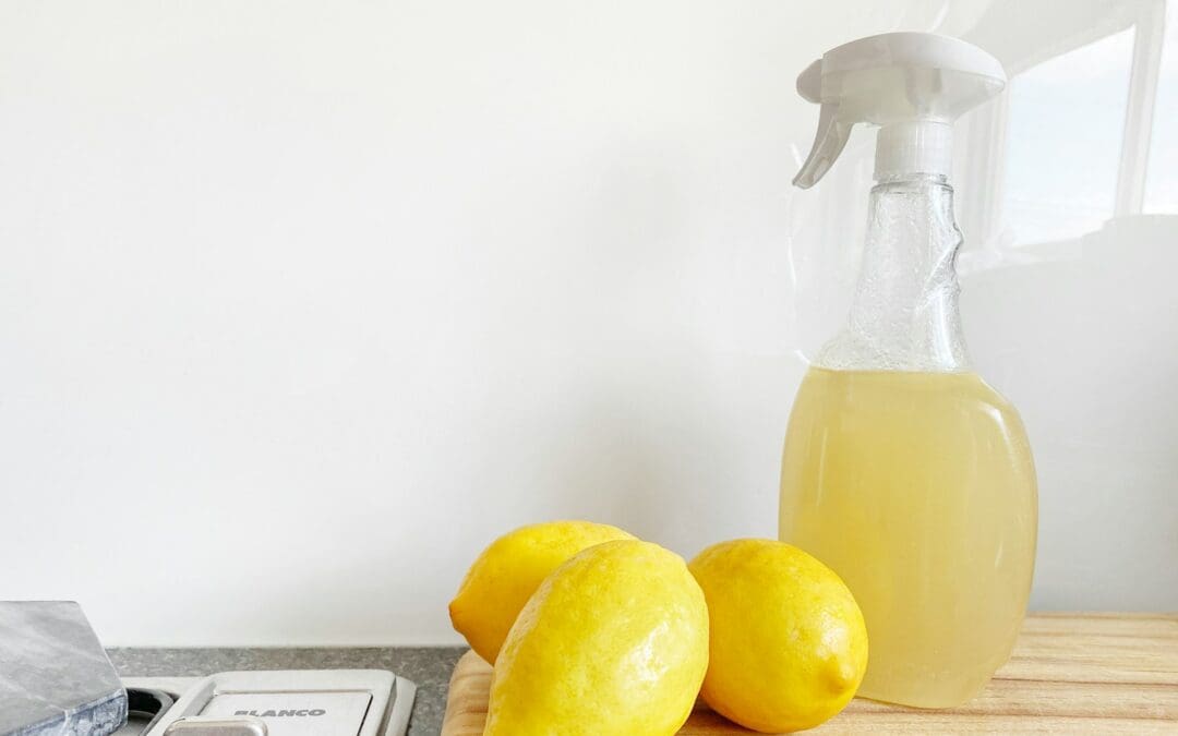 My Non-Toxic DIY Multi-Purpose Spray & Wipe