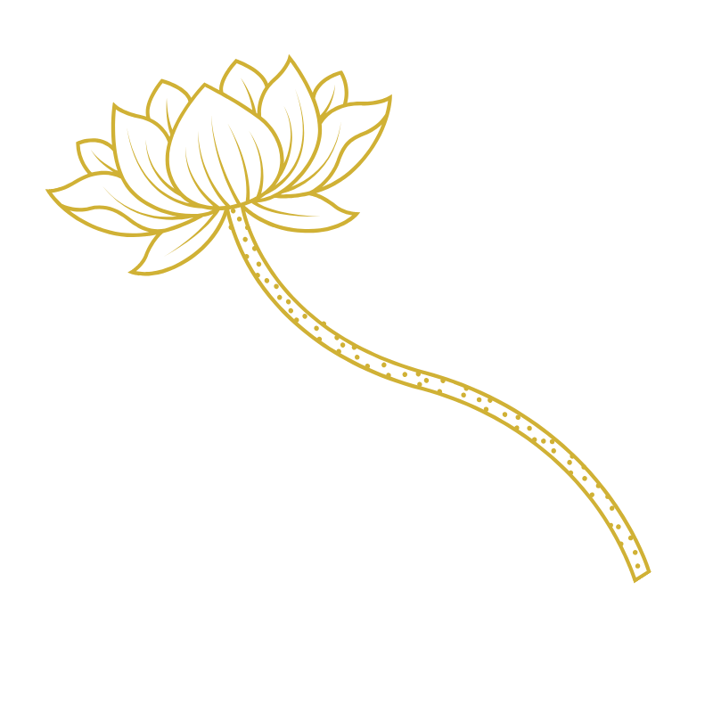 Jasmine-Gold-Lotus-Outline